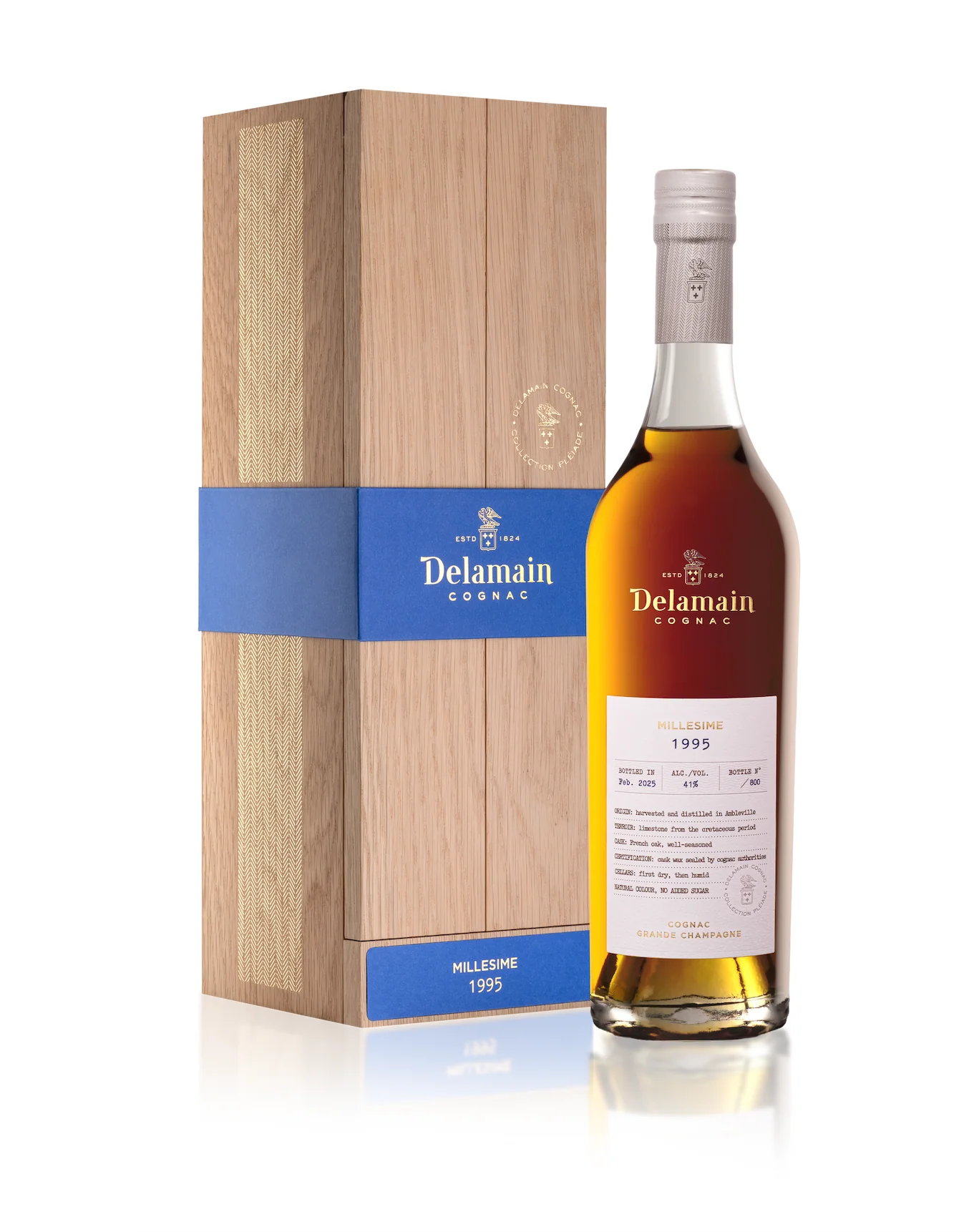 DELAMAIN COGNAC VINTAGE 1995 GRANDE CHAMPAGNE 700ML