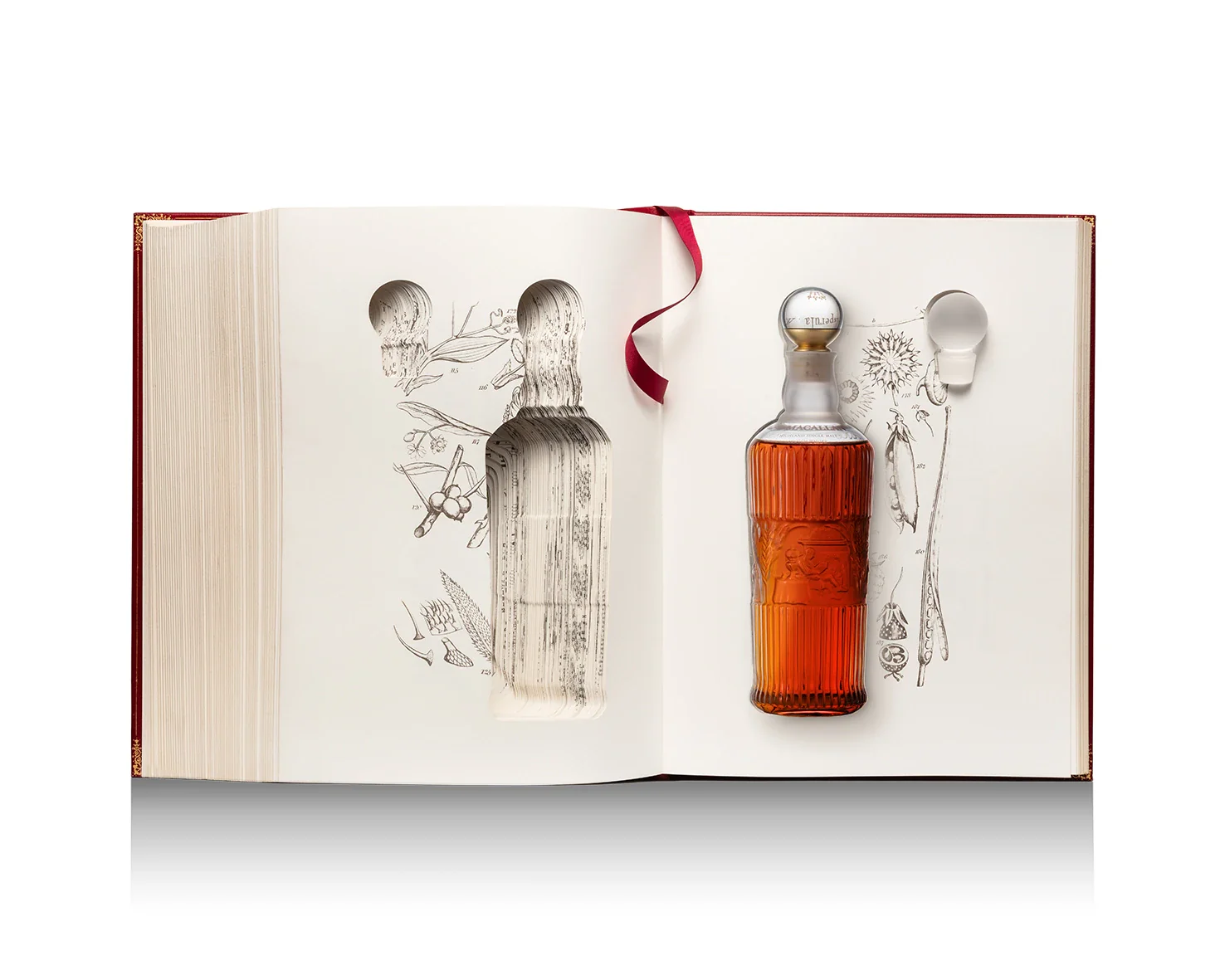 MACALLAN SCOTCH SINGLE MALT TALES OF MACALLAN VOLUME II HIGHLAND 700ML - Image 2